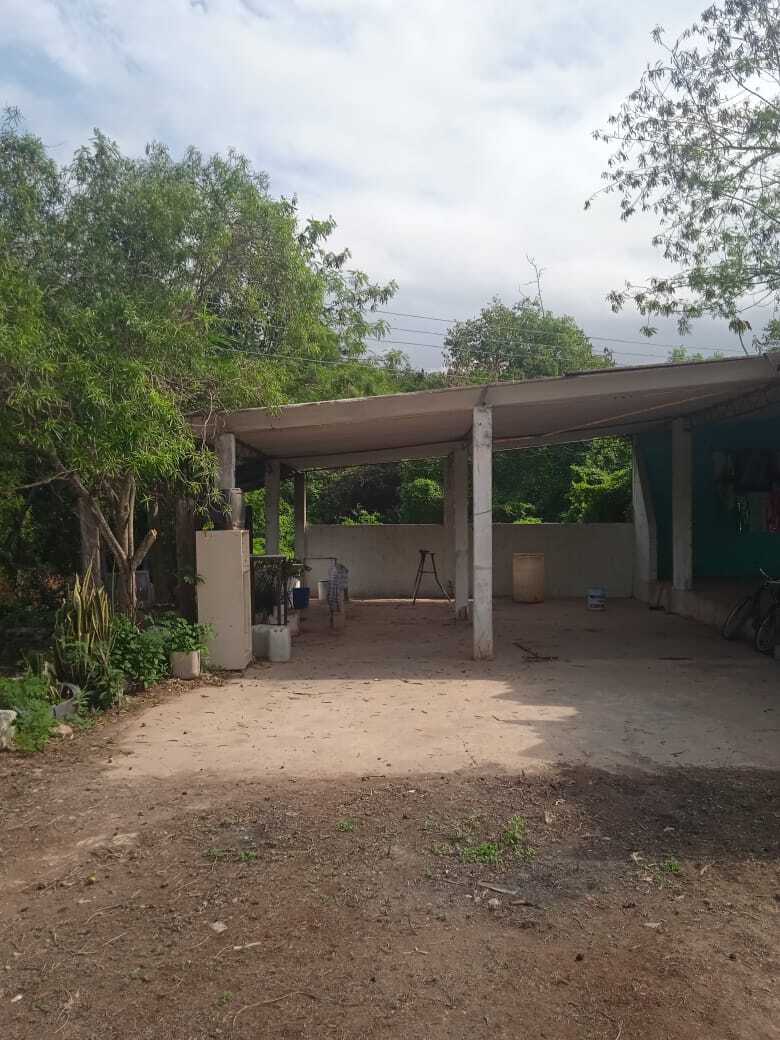 11 de 14