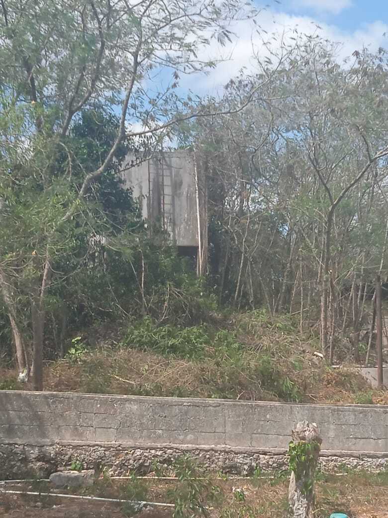 13 de 14