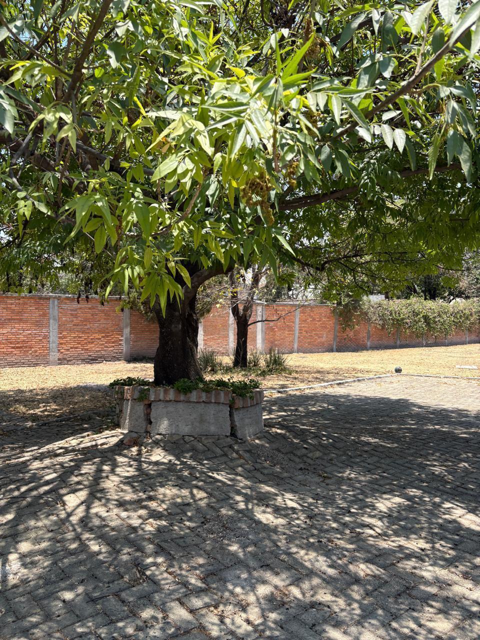 5 de 24