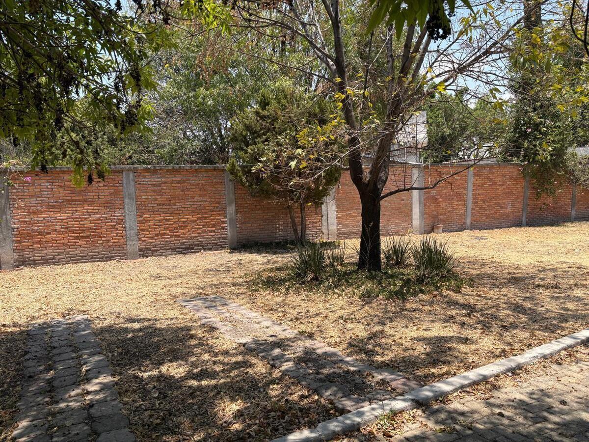 7 de 24: patio
