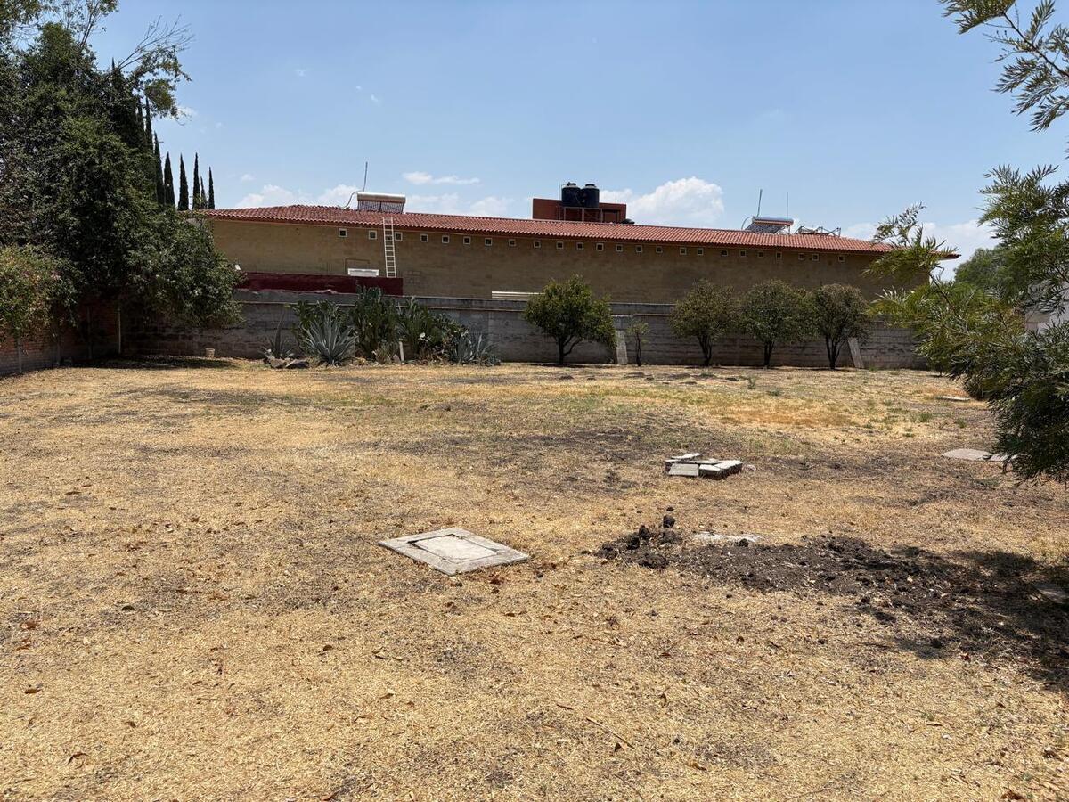 8 de 24: patio