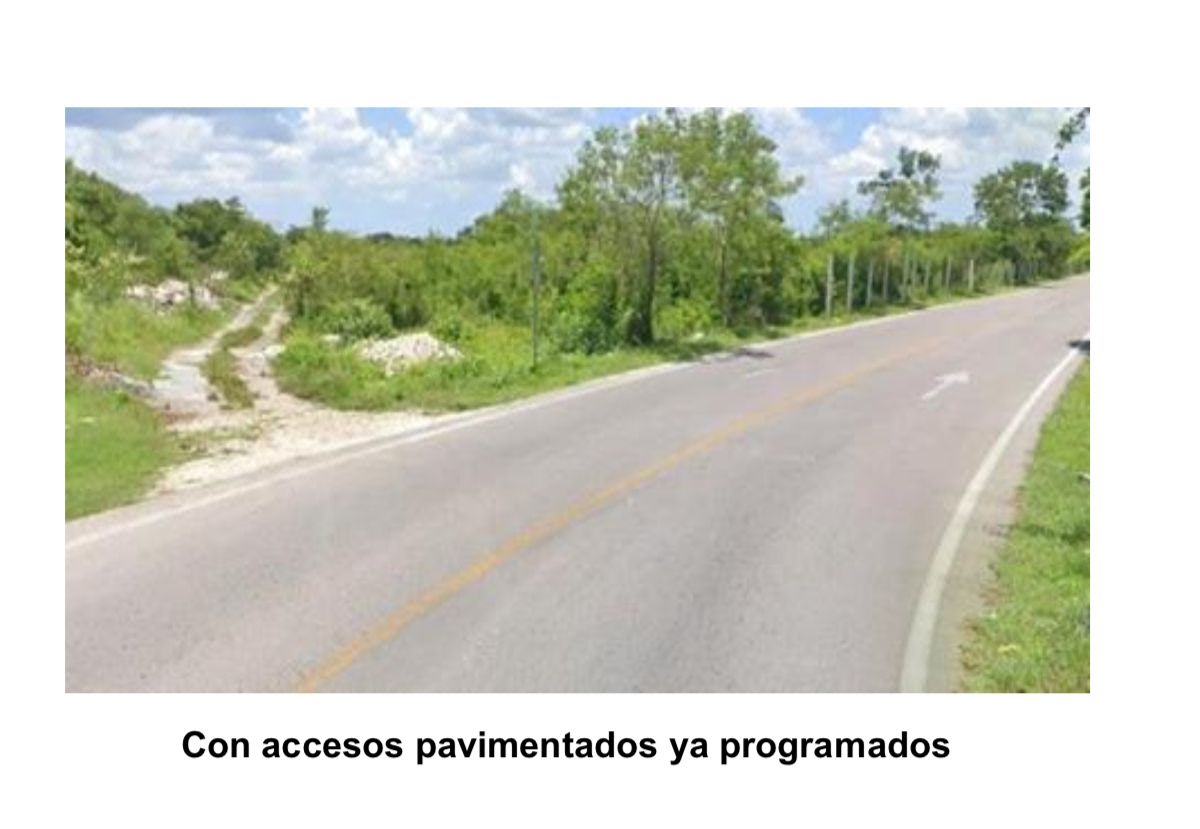 8 Hectare Land North of Mérida - foto 5