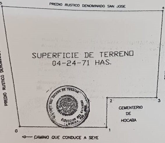 14 de 14