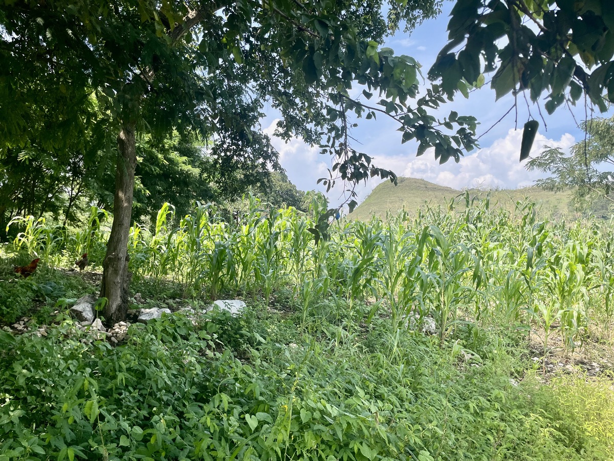 3 de 9