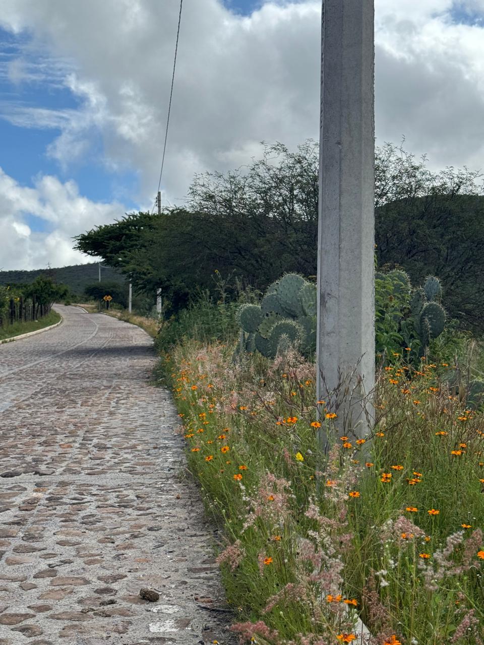 13 de 20