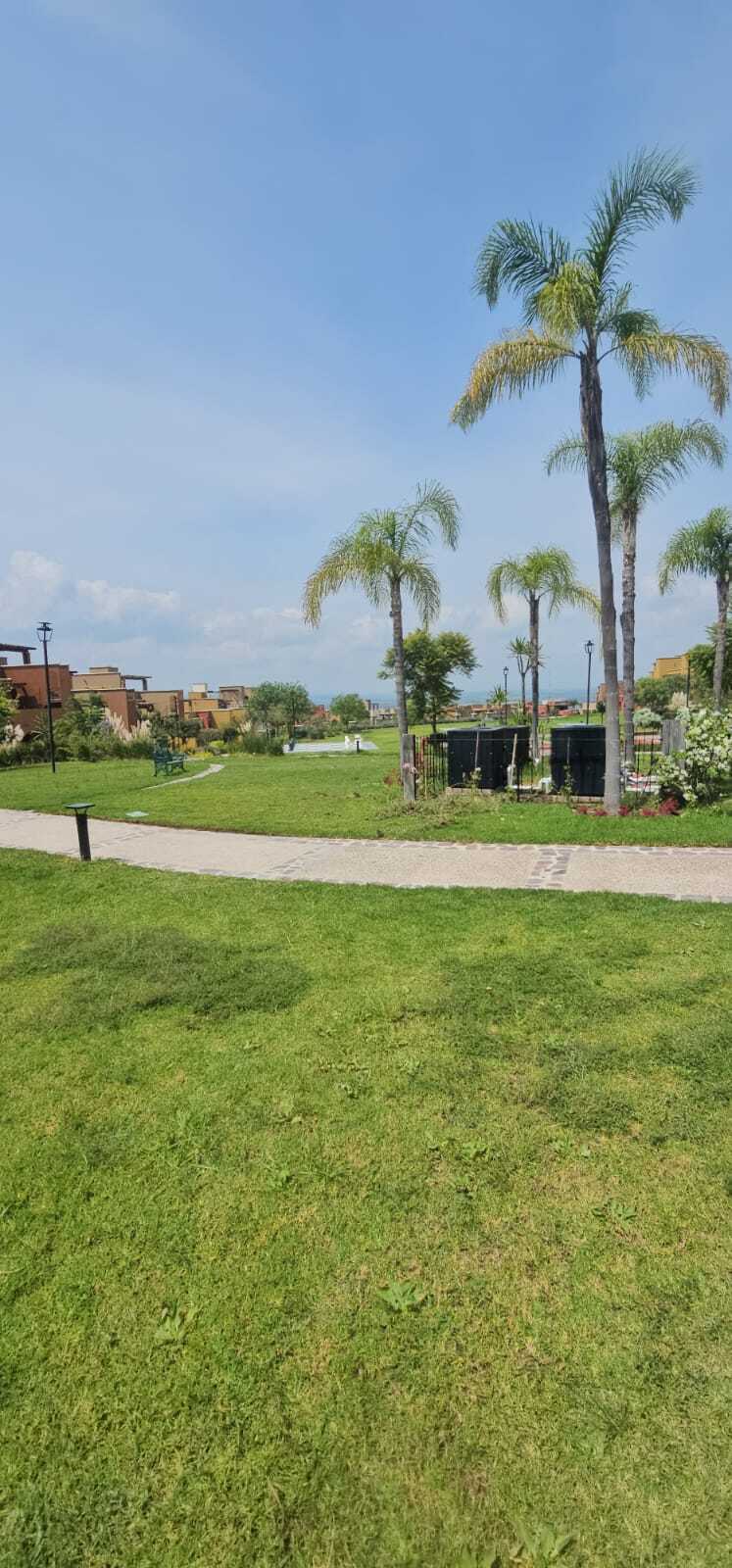 16 de 36