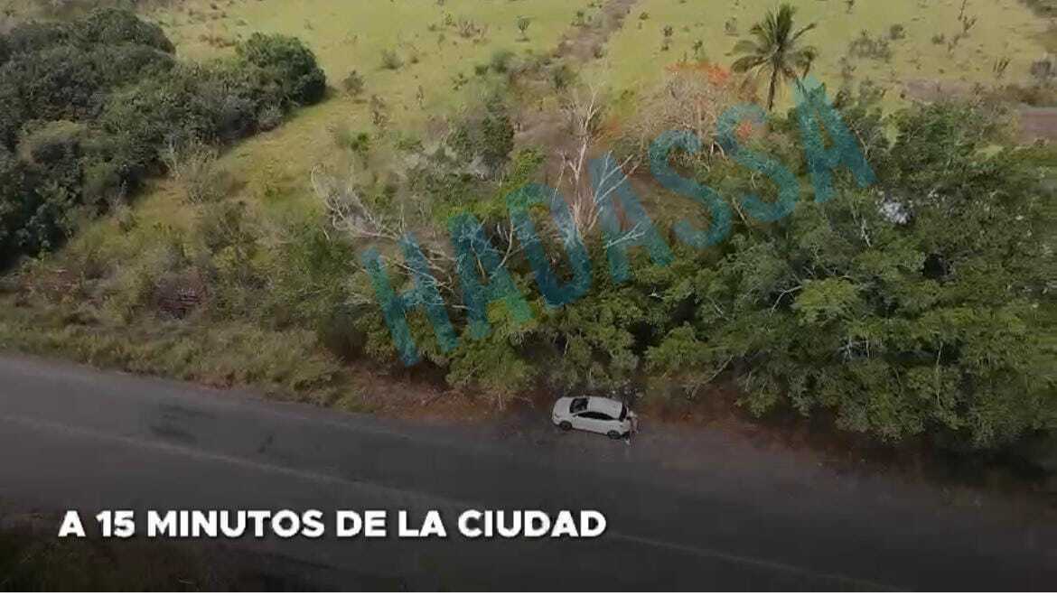 1 de 3