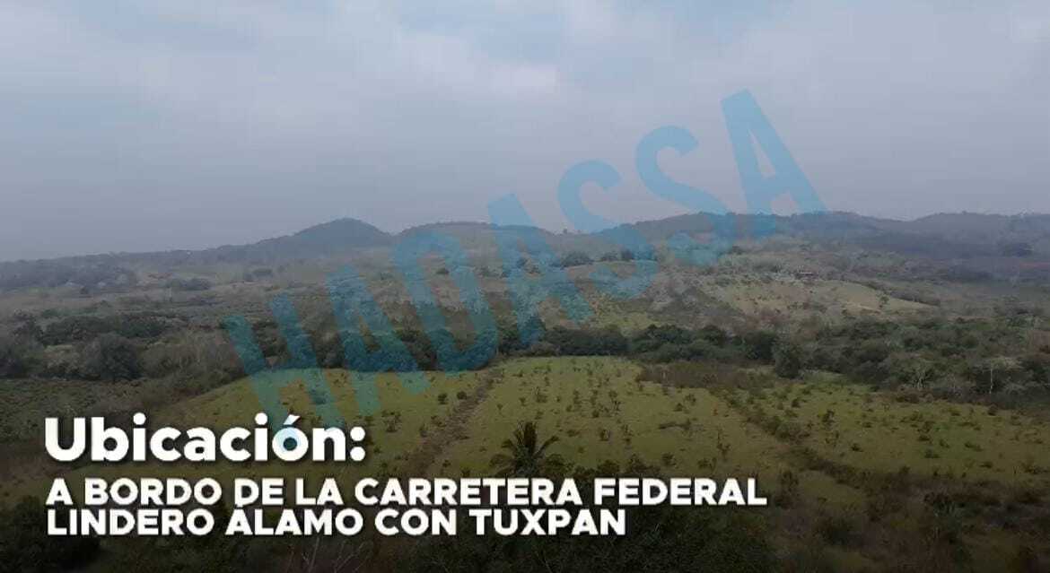2 de 3