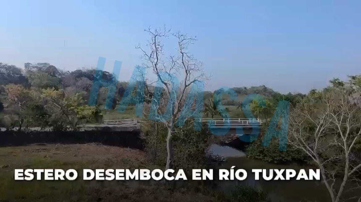 5 de 5