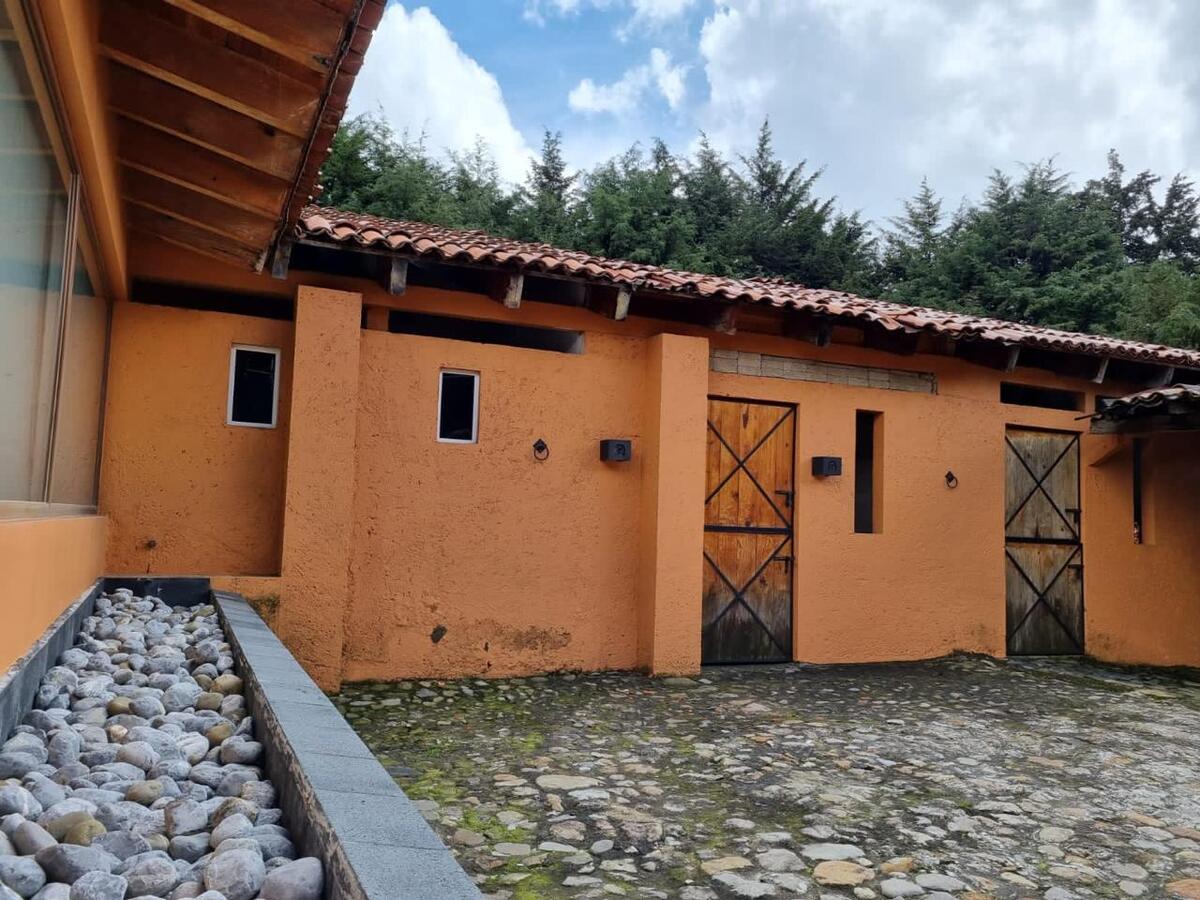 9 de 15