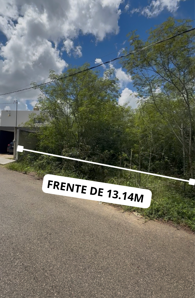 TERRENO EN VENTA EN DZITYÁ, YUCATÁN. - foto 4
