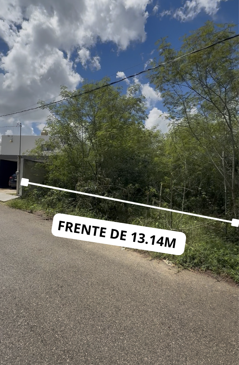4 of 5: FRENTE