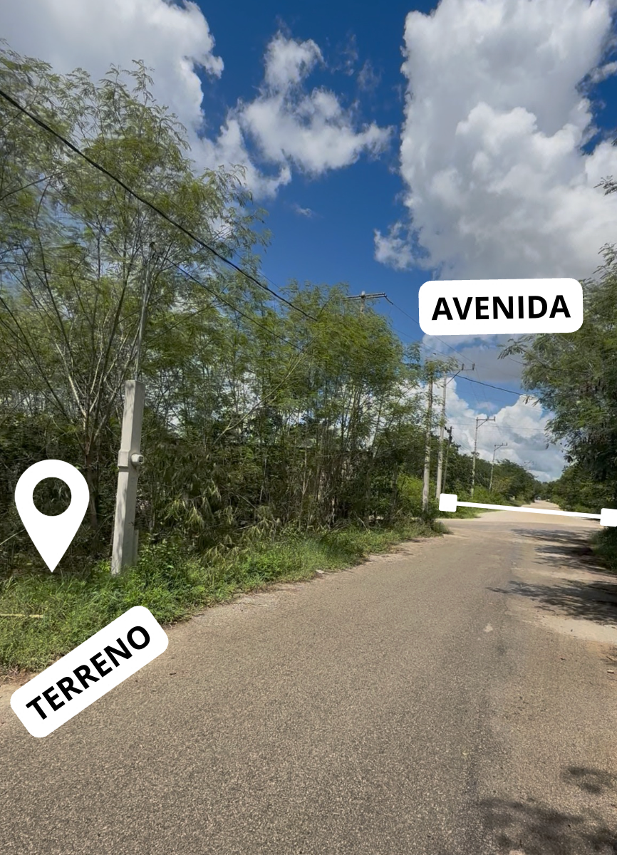 TERRENO EN VENTA EN DZITYÁ, YUCATÁN. - foto 5