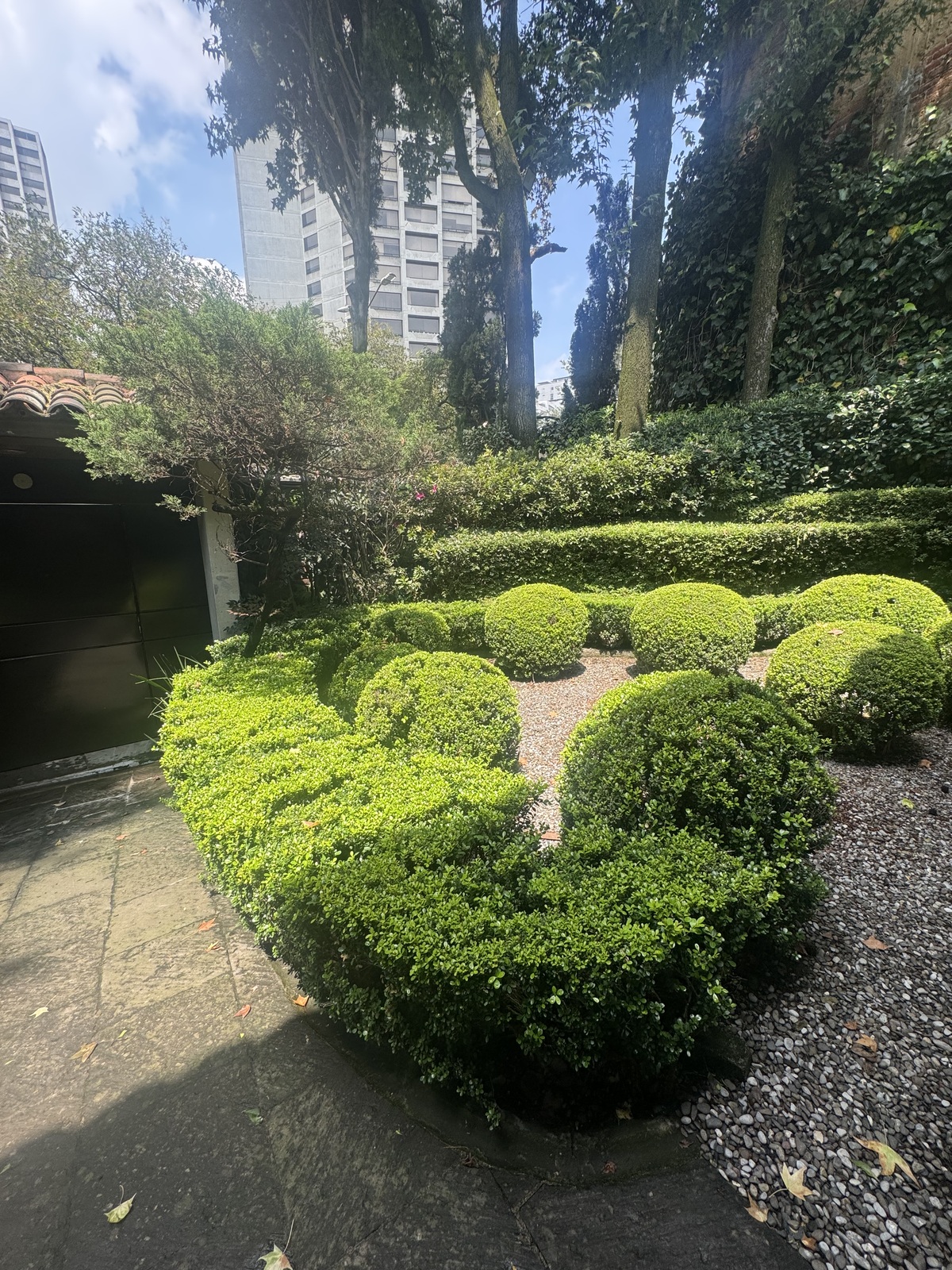 35 de 39