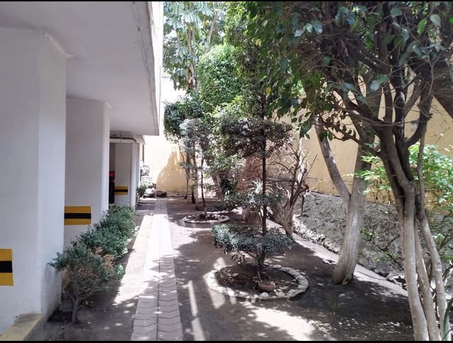 4 de 27