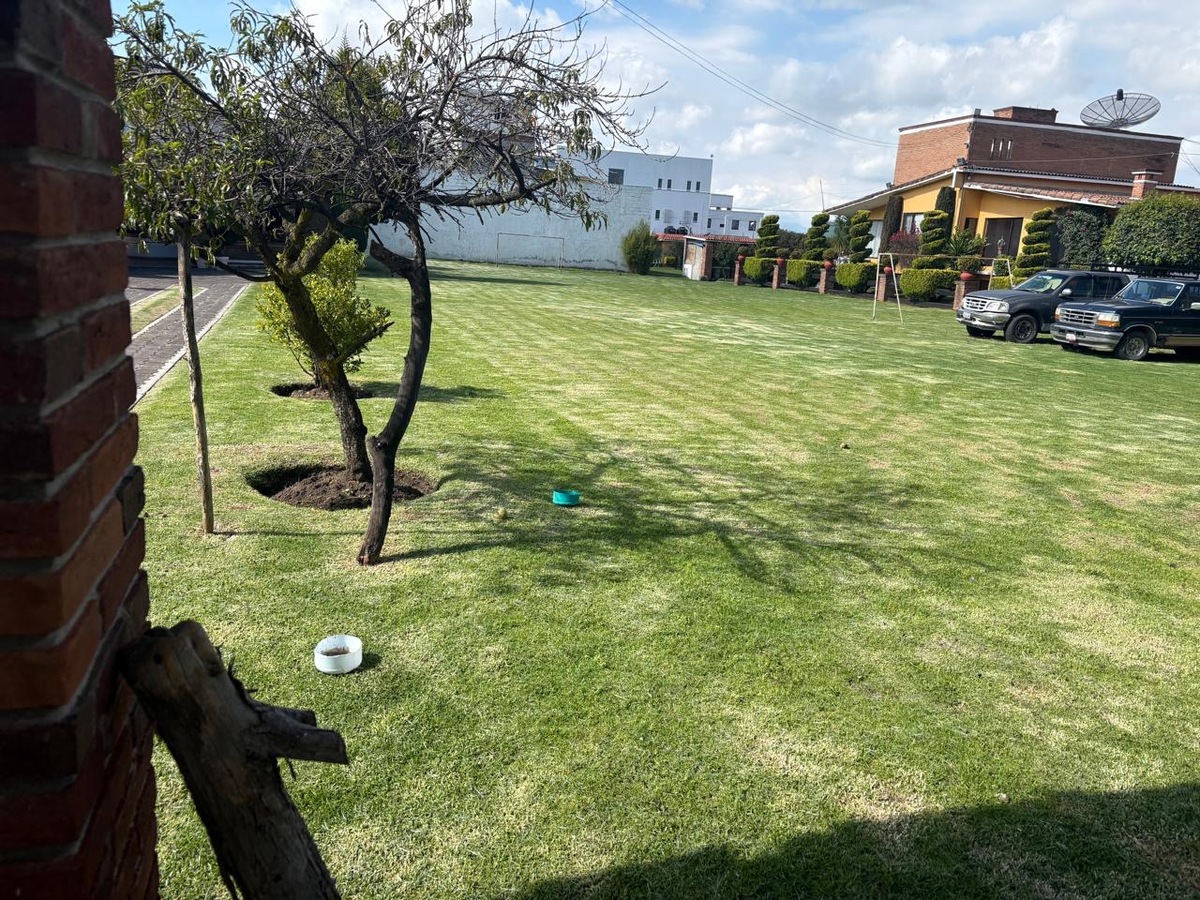 3 de 12
