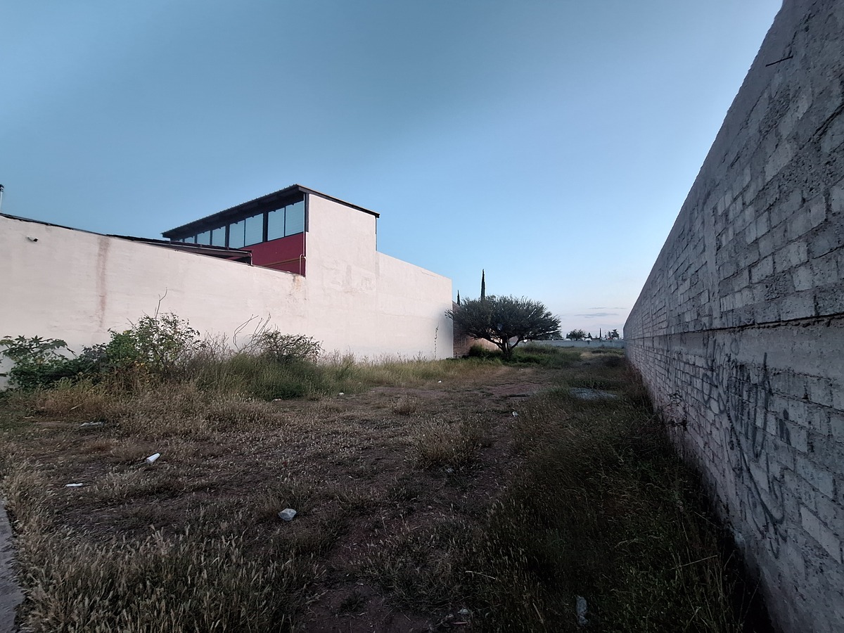 1 de 5