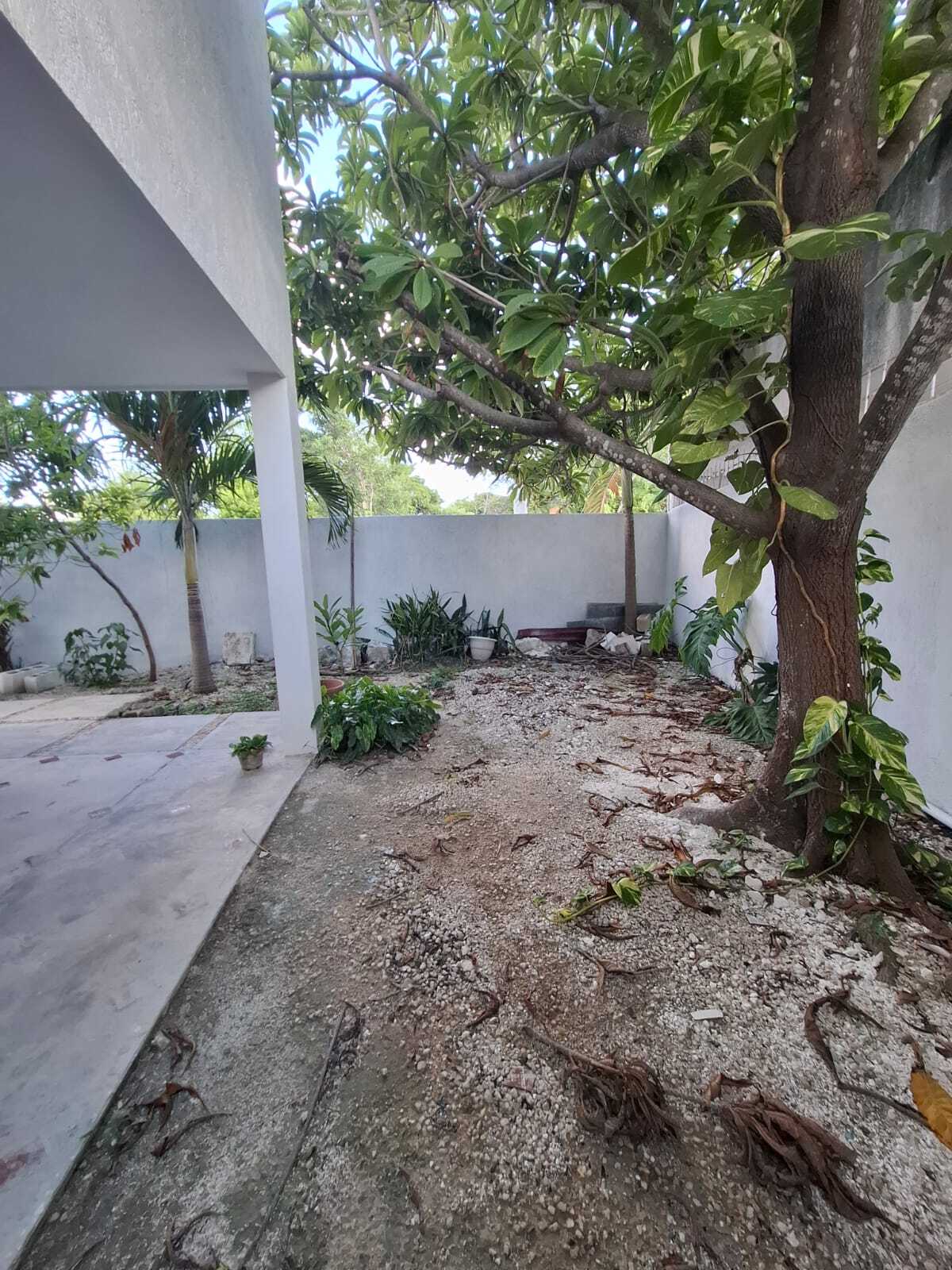 14 de 27