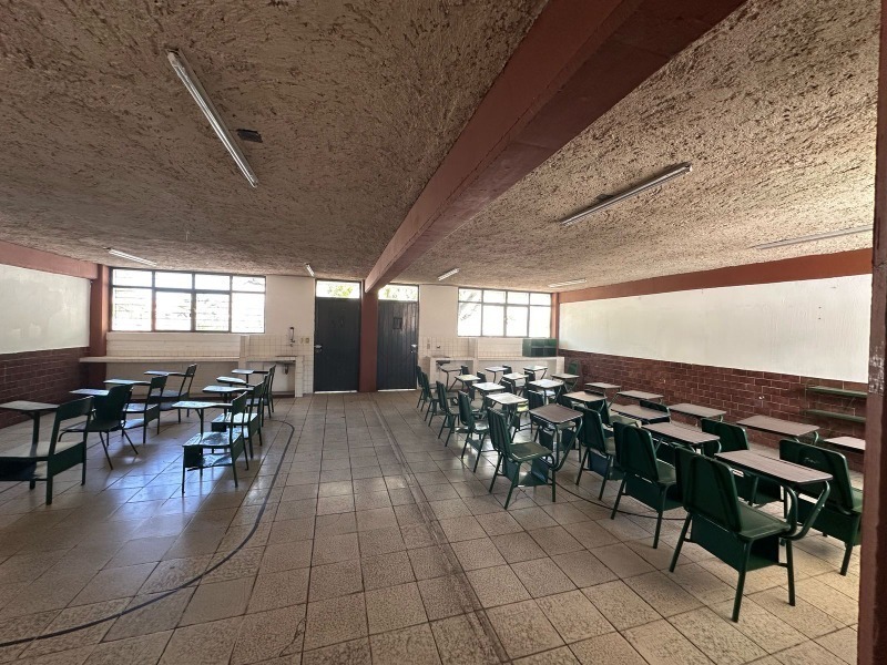4 de 16