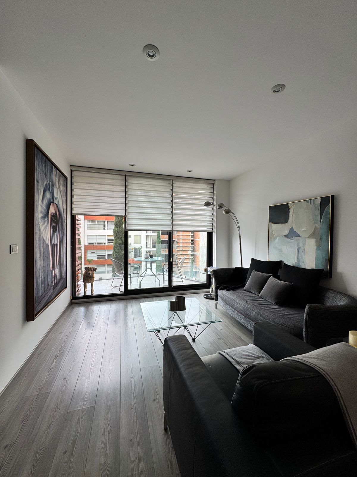 15 of 17: sala con vista