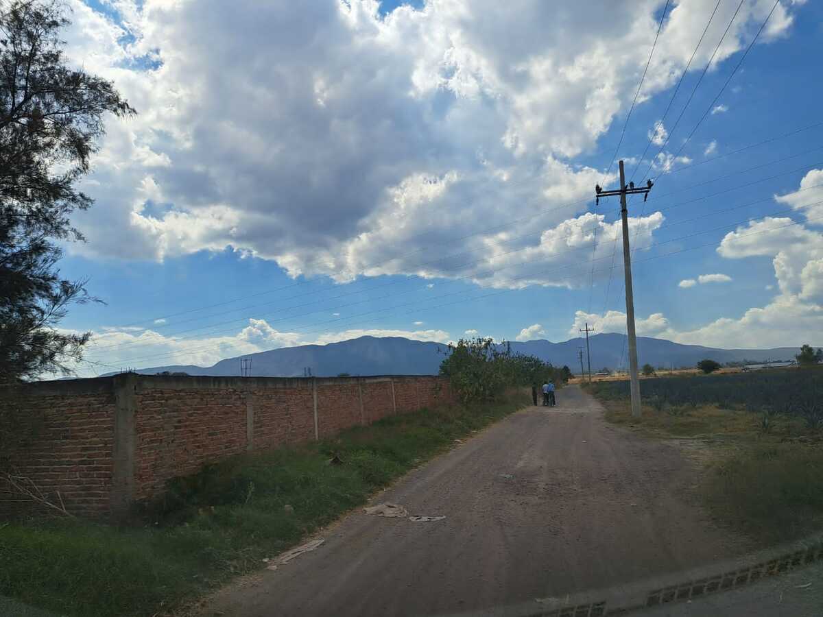 2 de 14