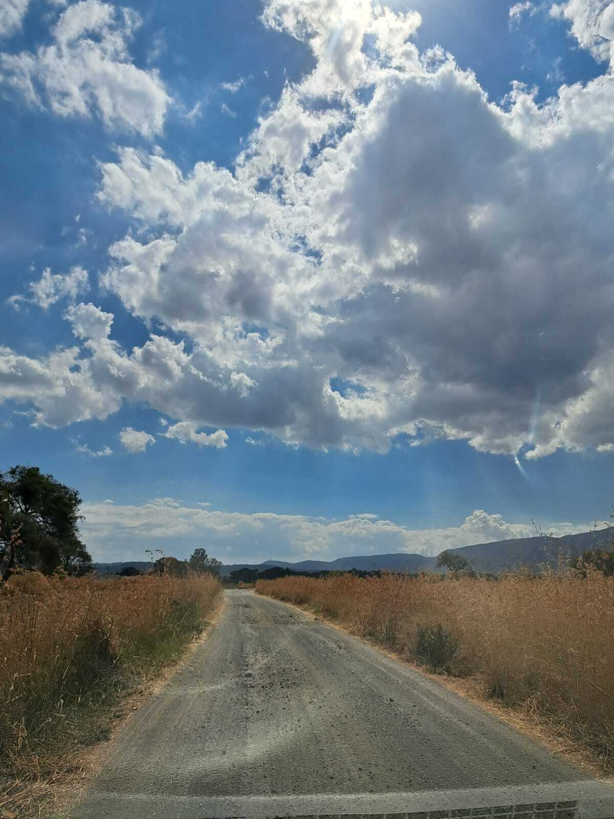 4 de 14