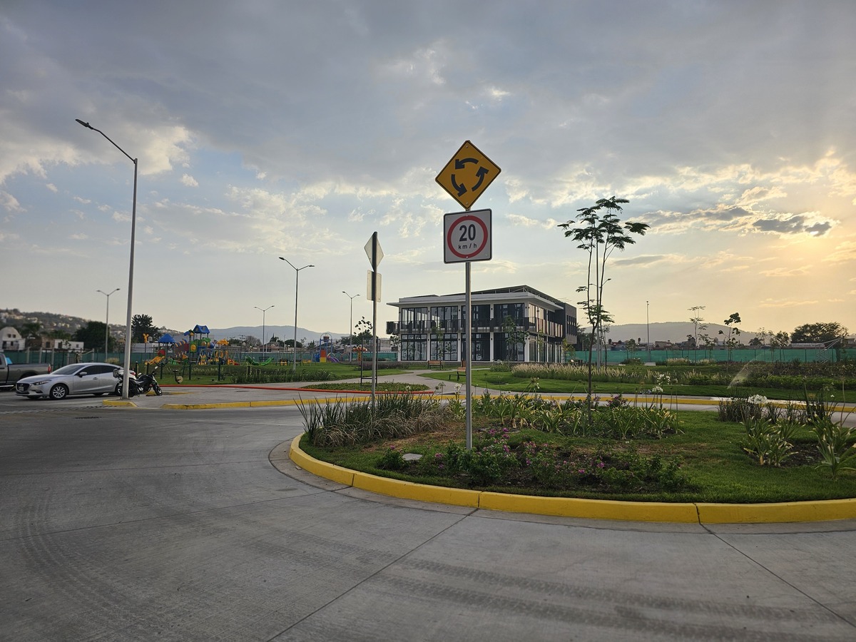 3 de 19