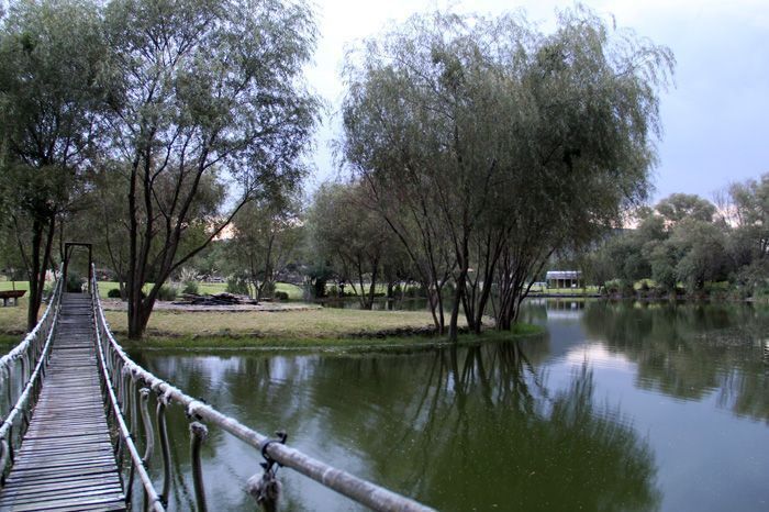 36 de 39: Lago