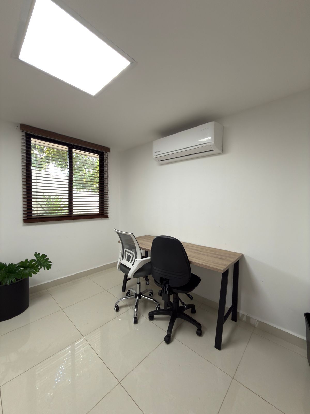 2 de 19: Oficina 103 planta baja