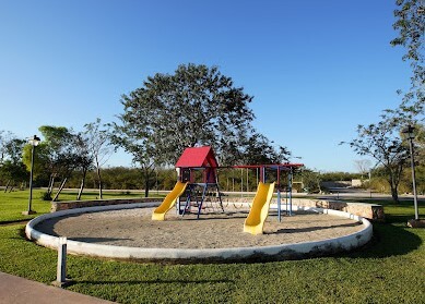 3 de 6