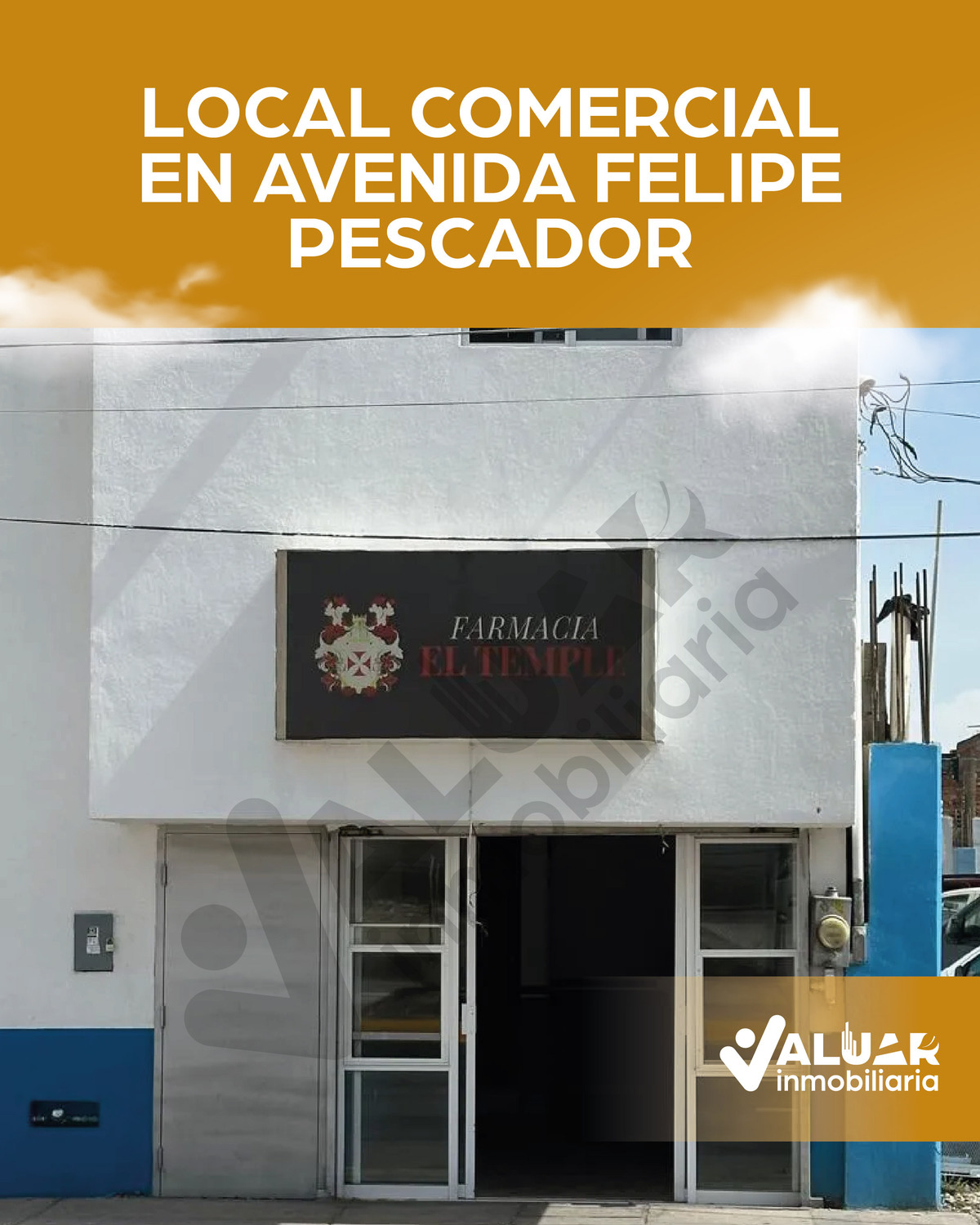1 de 5