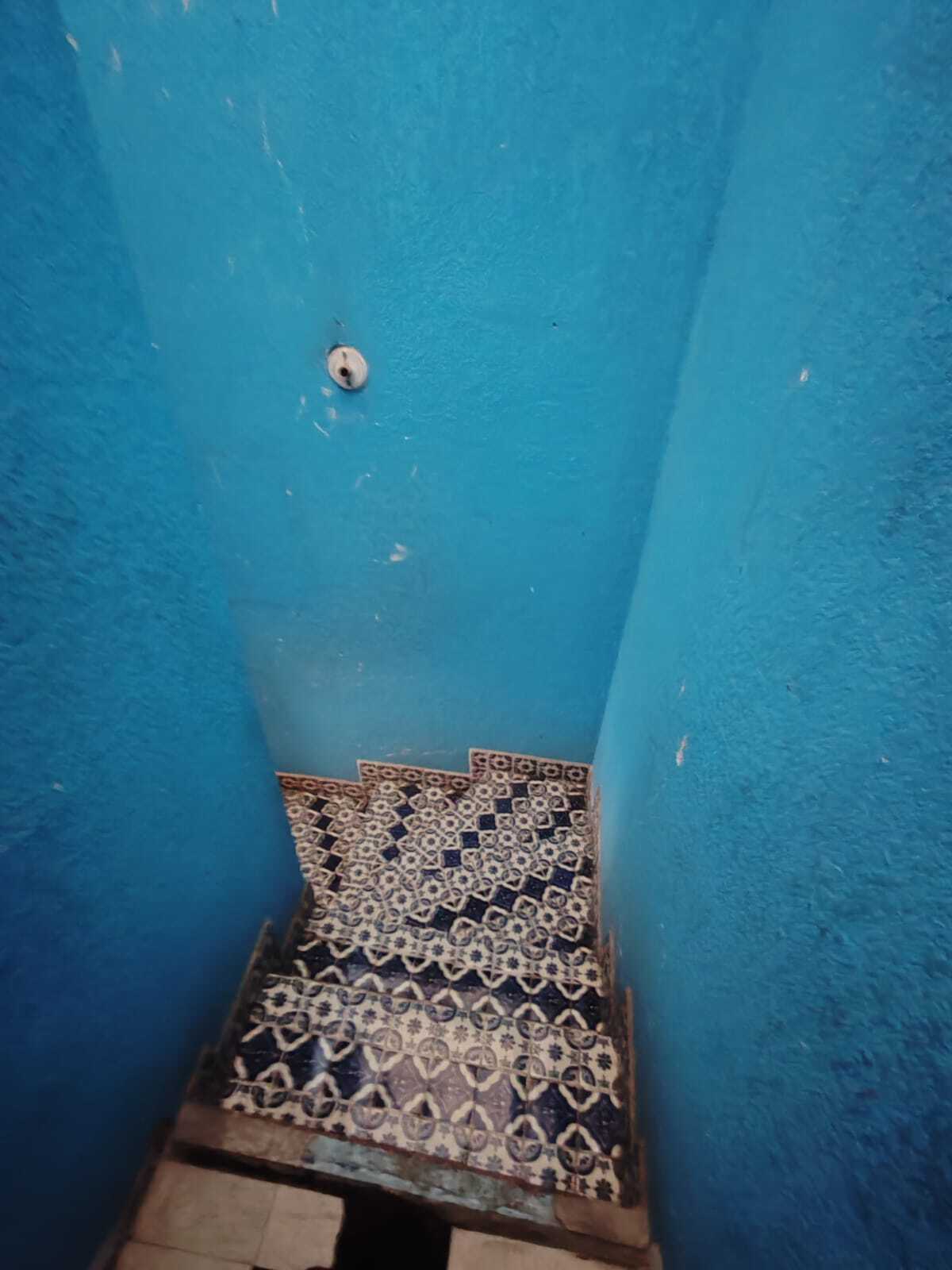 5 de 14