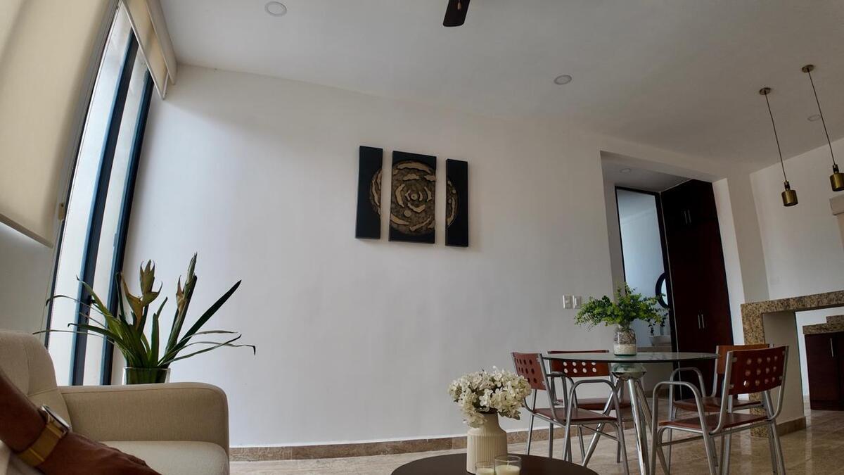 2 de 12: departamento muestra