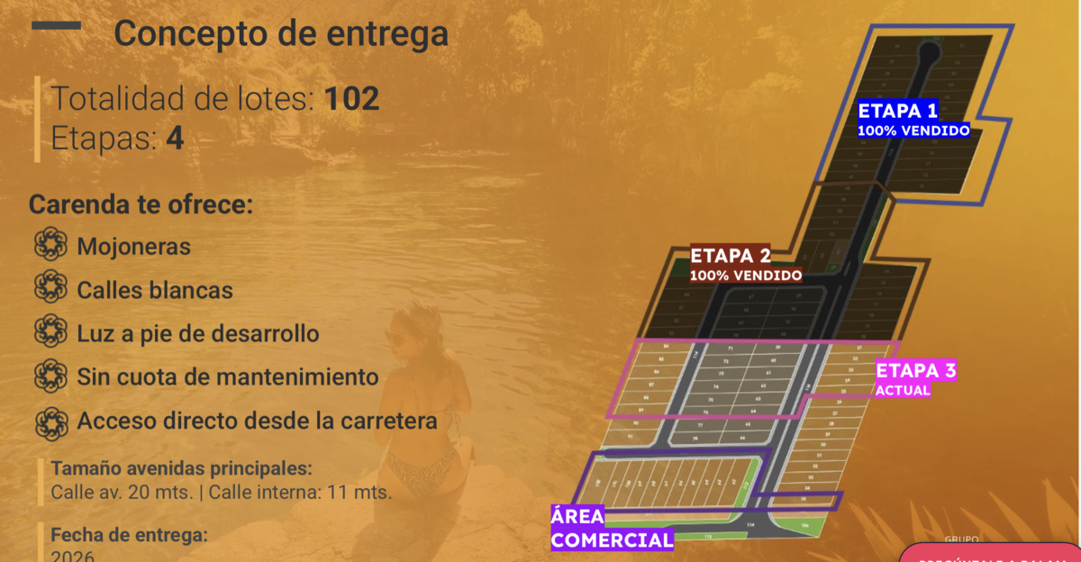 3 de 6