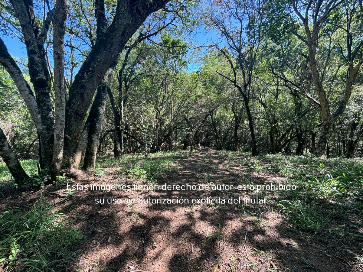 4 de 23: Terreno Campestre en Venta en Montemorelos