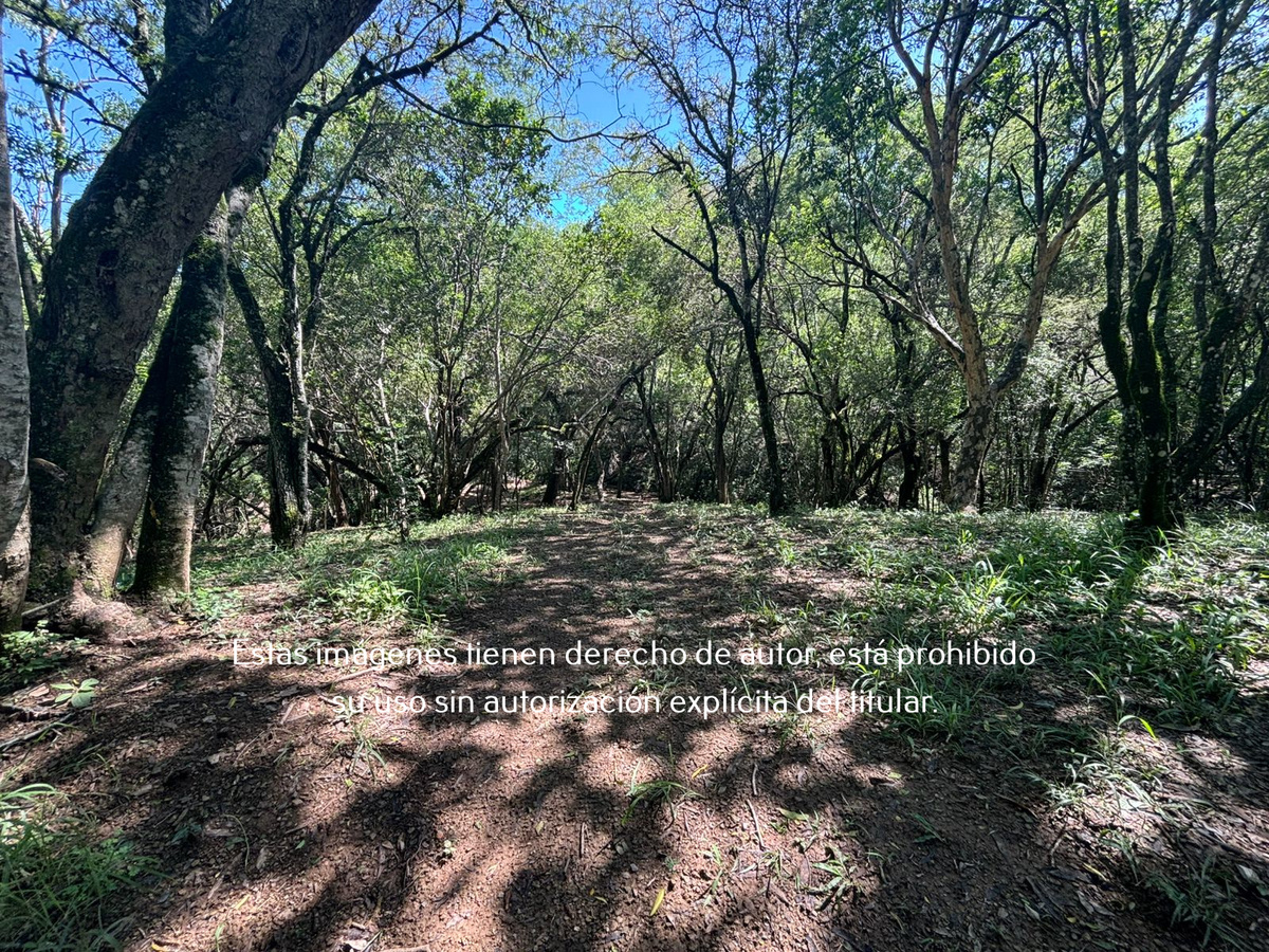 5 de 23: Terreno Campestre en Venta en Montemorelos