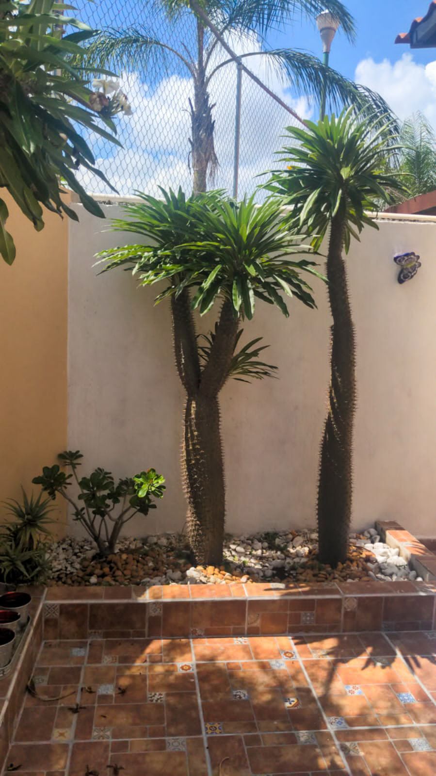 9 de 28