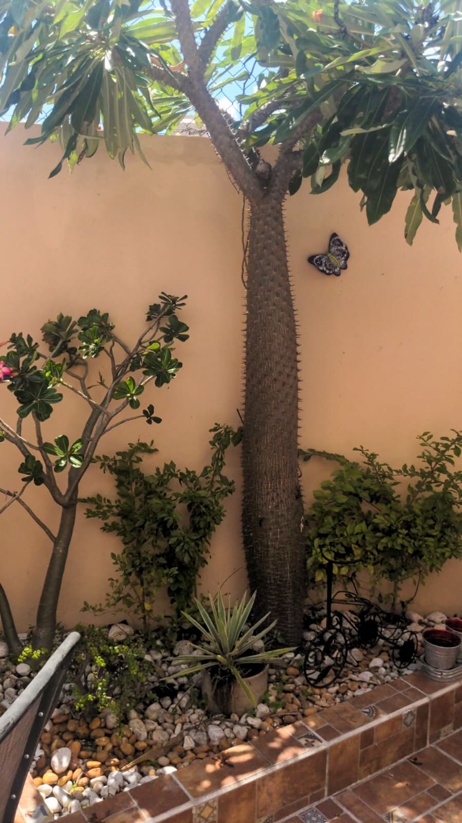 10 de 28