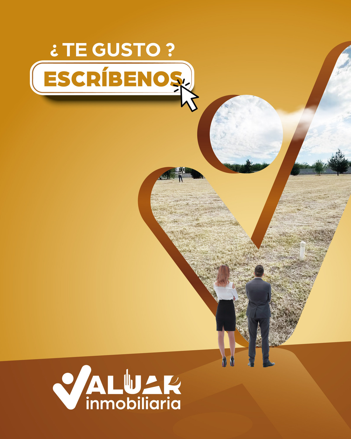 5 de 5