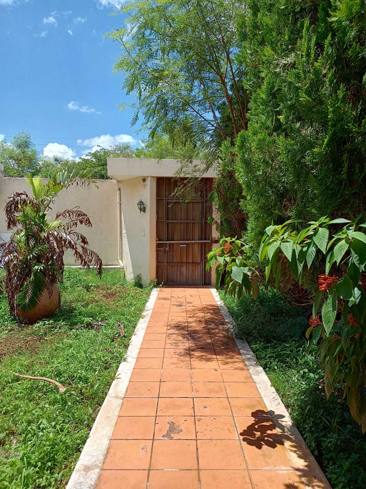 5 de 24: entrada desde la calle