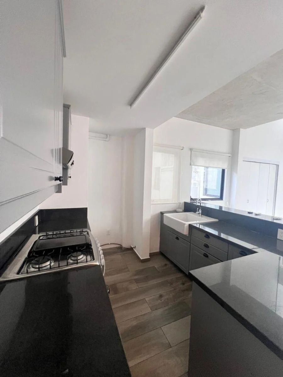 Penthouse en Renta Colonia Cuauhtemoc Alcaldia Cuauhtemoc SPA91