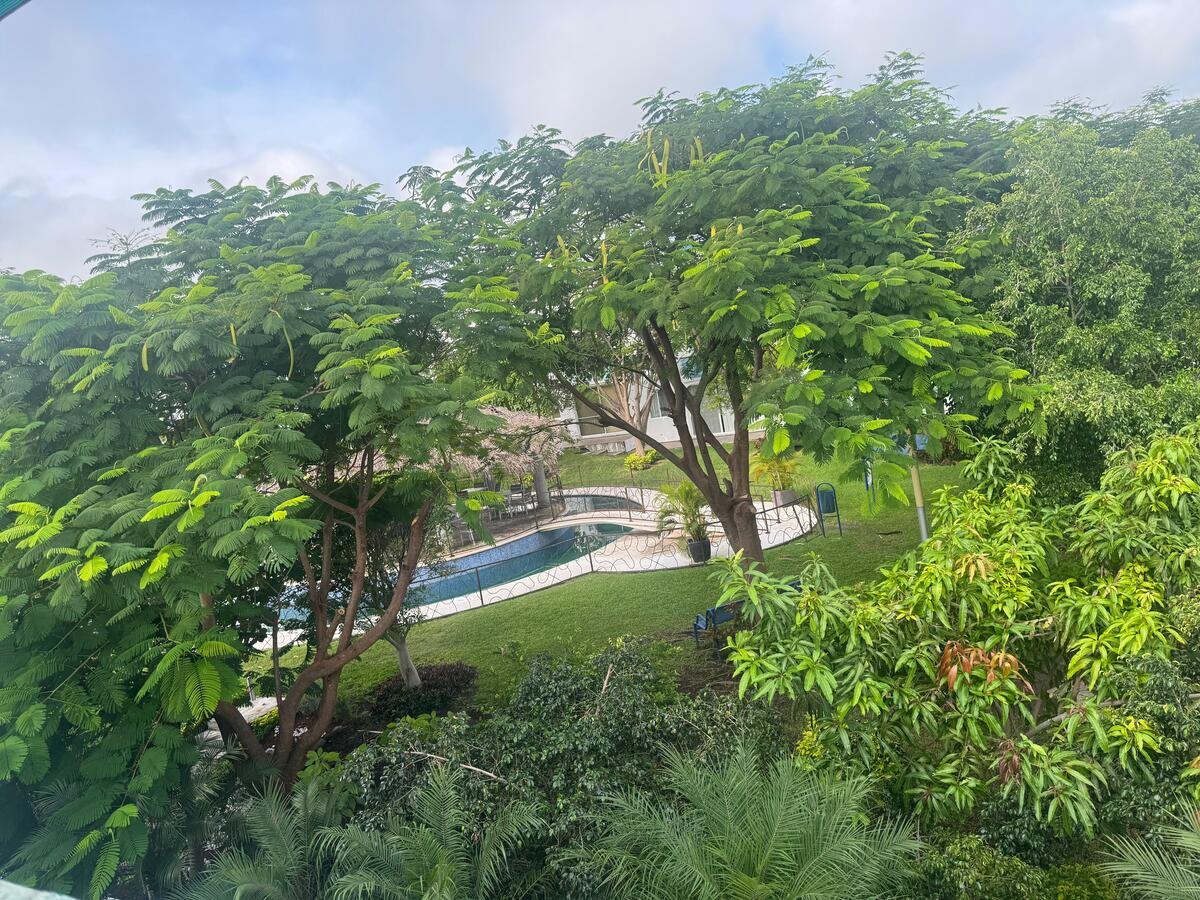 19 de 21