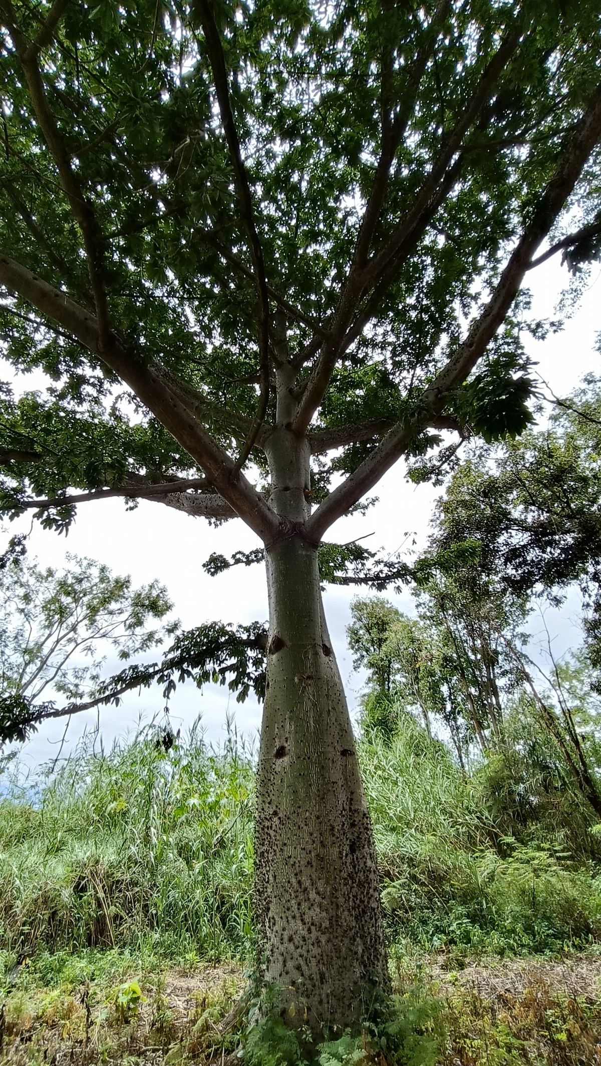 3 de 10