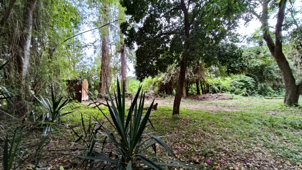 2 de 10