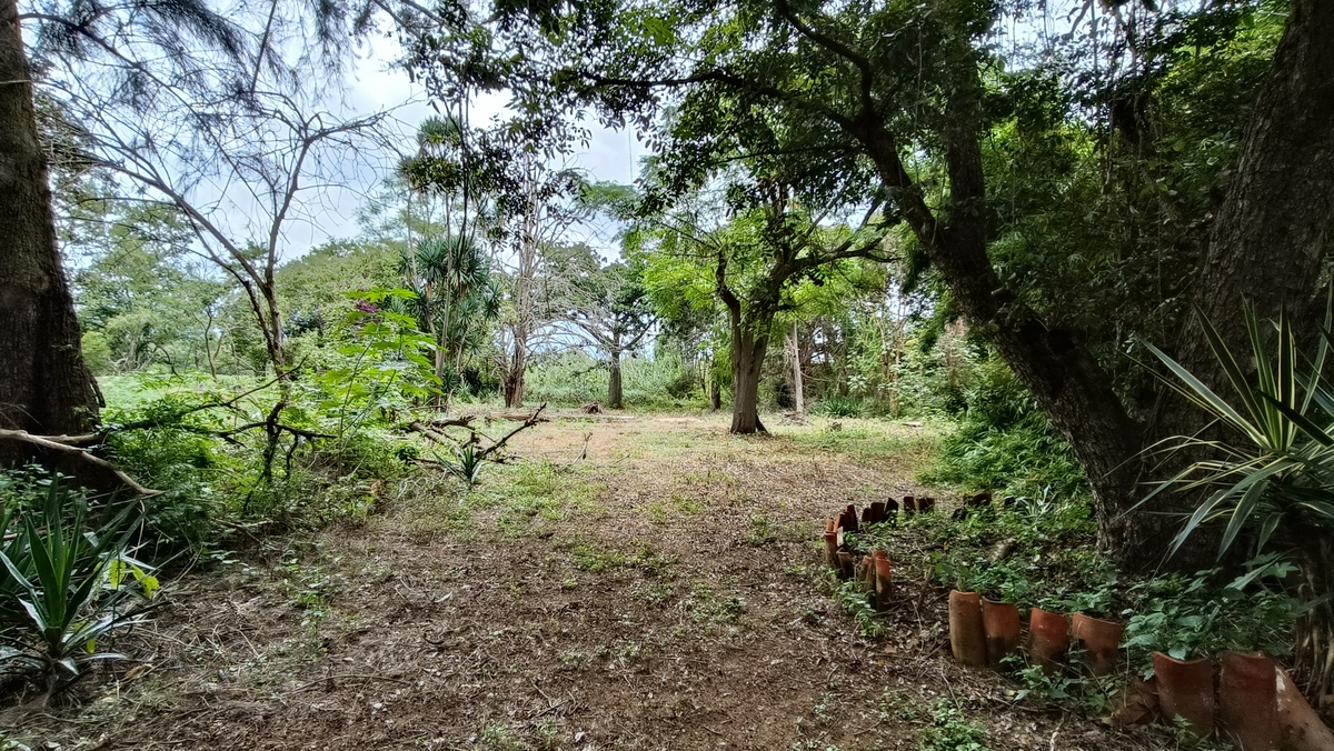 4 de 10