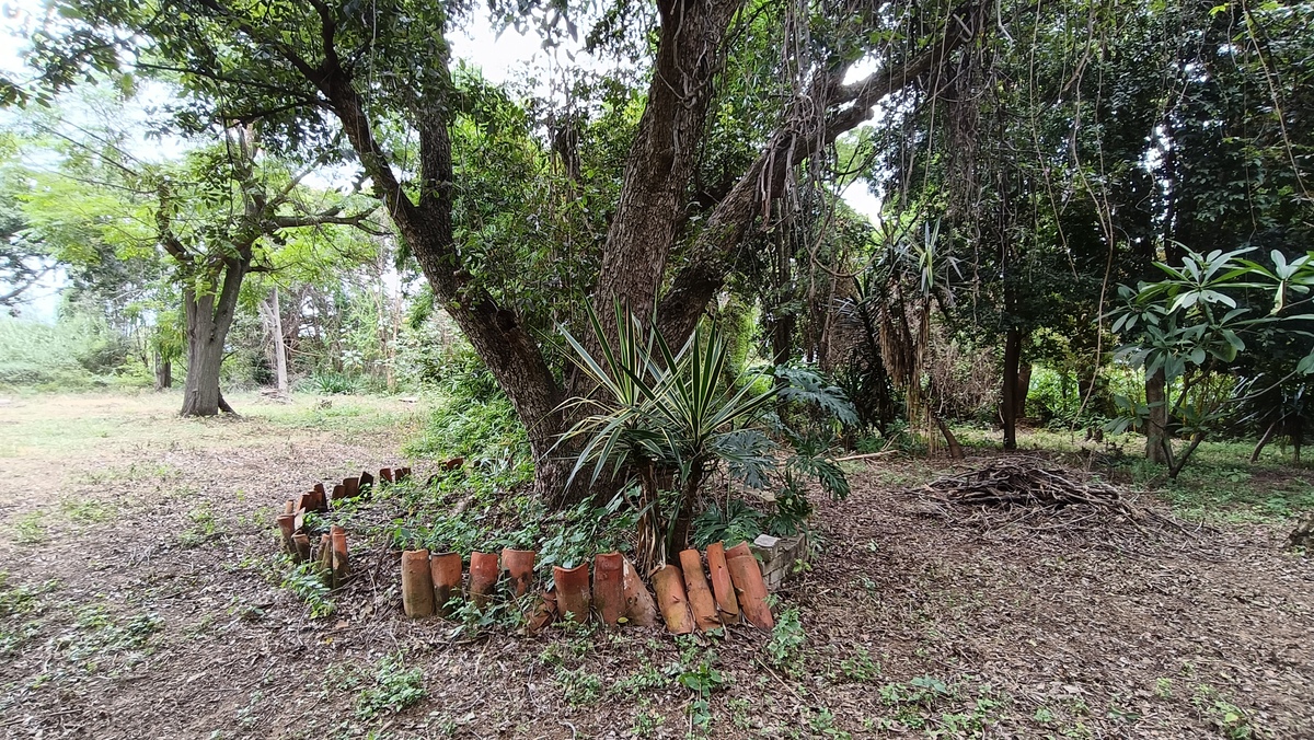5 de 10