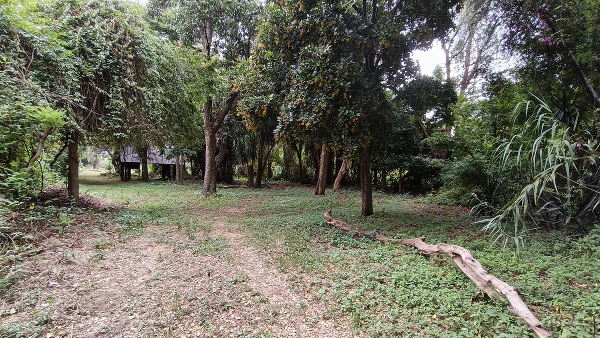 6 de 10