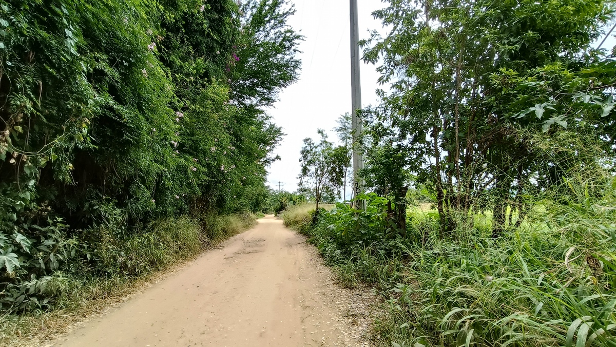 10 de 10