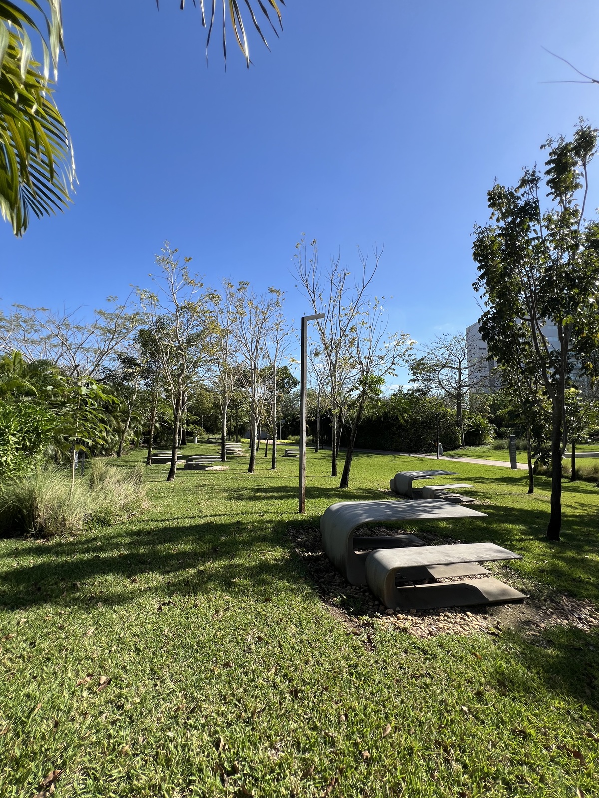 33 de 39