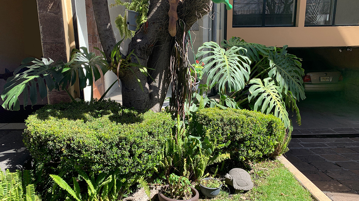 11 de 15